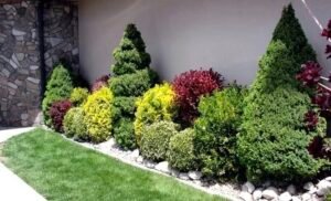 Explore Landscaping - landscape design in Michigan