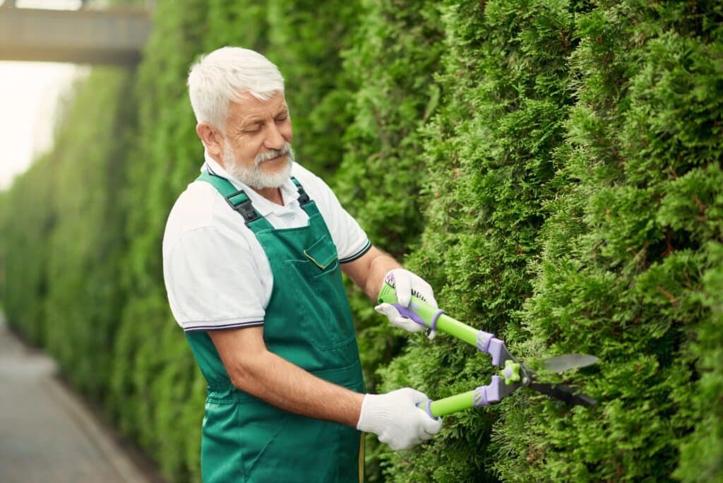 Hedging landscaping in michigan