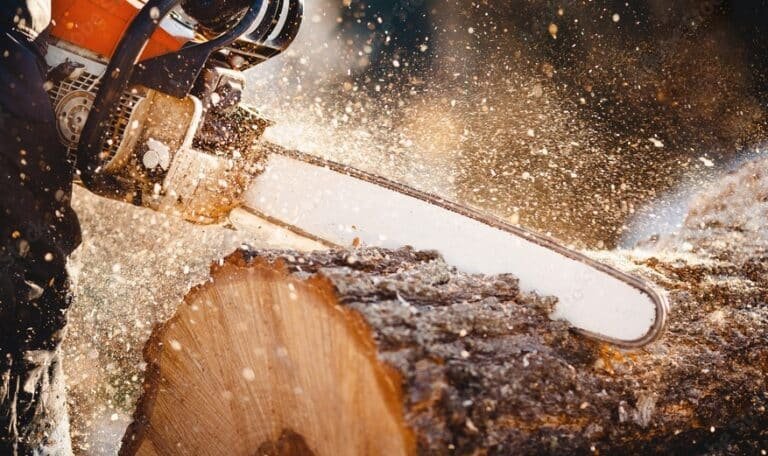 Tree Cutting Services | Flint, MI | Explore Landscaping