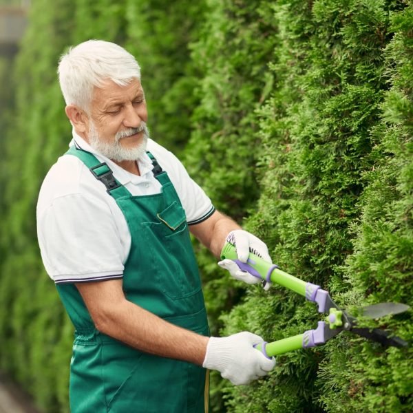 Hedging landscaping in michigan